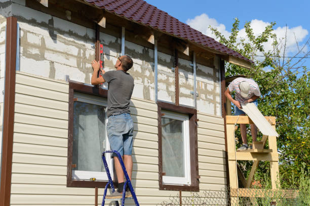 Affordable Siding Repair and Maintenance Services in Ives Estates, FL