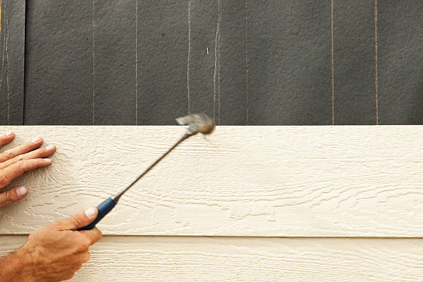 Best Fascia and Soffit Installation  in Ives Estates, FL